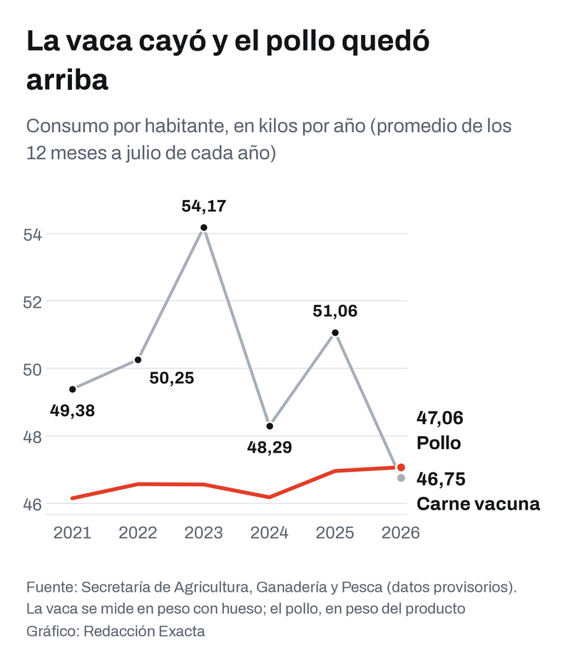 La vaca cayó y el pollo quedó arriba
