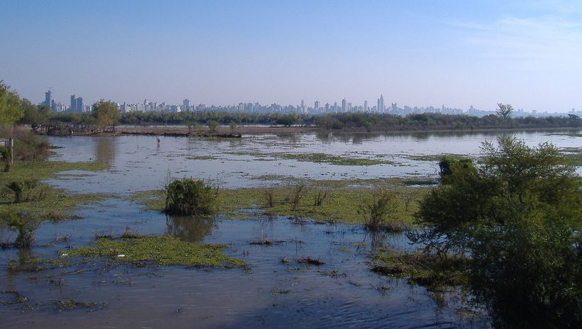 Terreno bajo con agua y monte en una isla del delta del Paraná que pertenece al departamento Victoria; al fondo, Rosario.