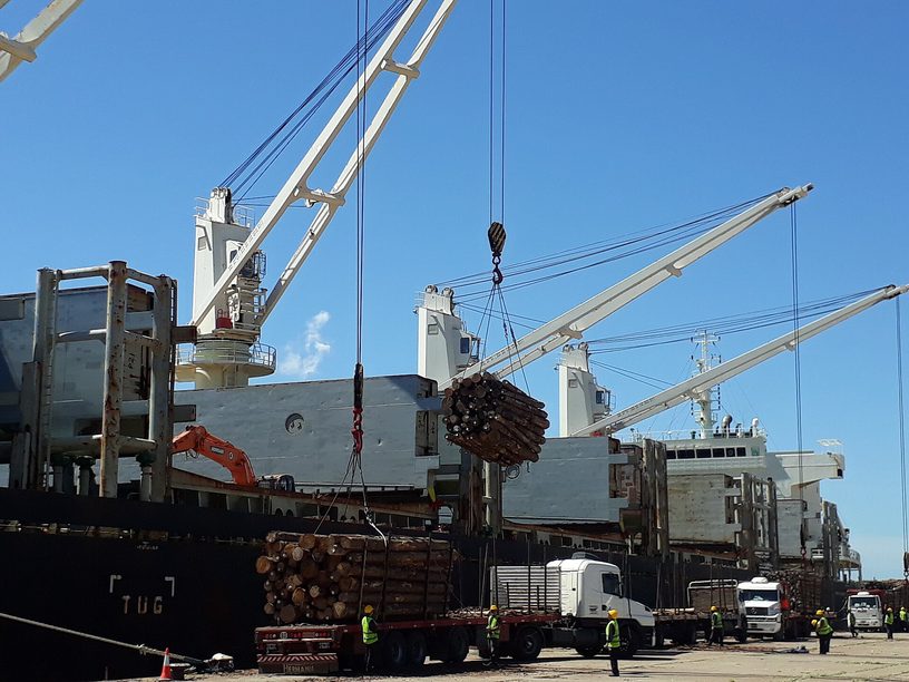 Carga de madera en un buque en el puerto de Concepción del Uruguay, sobre el río Uruguay, en enero de 2020.
